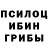 Псилоцибиновые грибы Psilocybe Lioudmila Kabanova